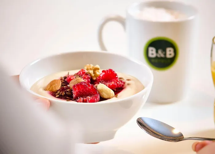 Koblenz-city 科布倫茨